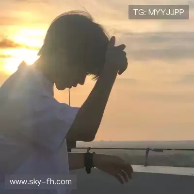 何鹰辉